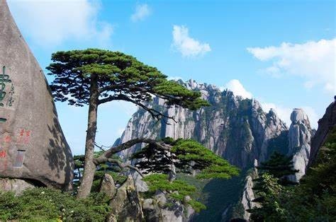 【黄山】10.1-10.3五岳归来不看山，黄山归来不看岳，日出日落云海仙境