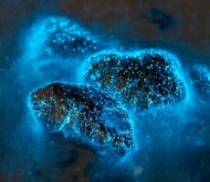 12.31晚-1.3-福建【平潭岛+泉州】平潭追蓝眼泪、泉州古城、蟳埔村簪花、平潭68海里