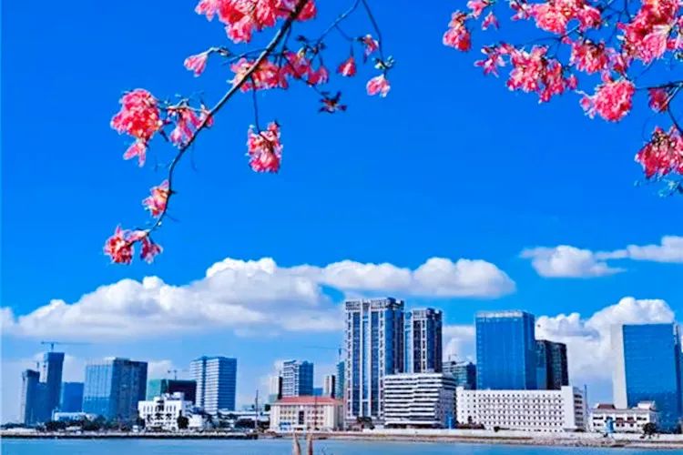 1636973136167002901.jpg 图片