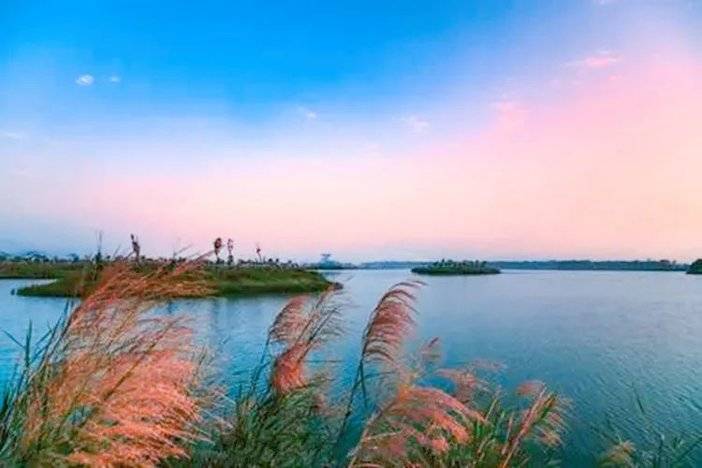 1636973178893089175.jpg 图片