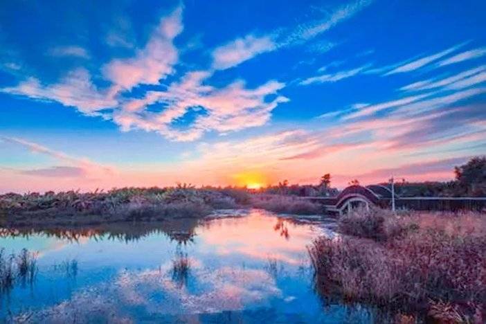 1636973185685041389.jpg 图片