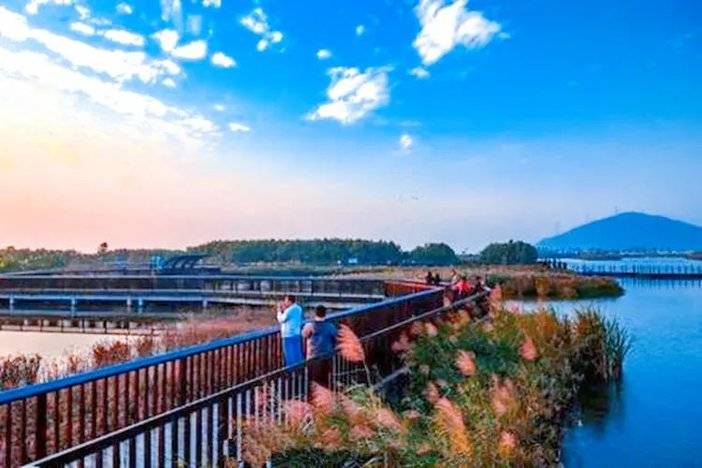 1636973212060096020.jpg 图片