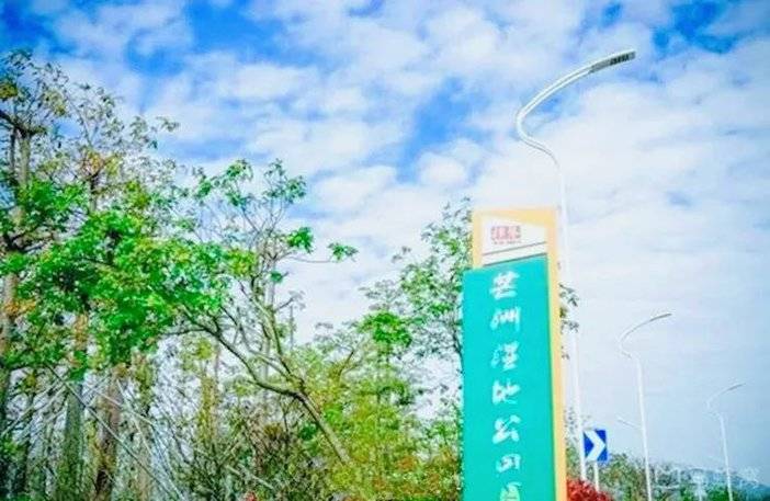 1636973162993051692.jpg 图片