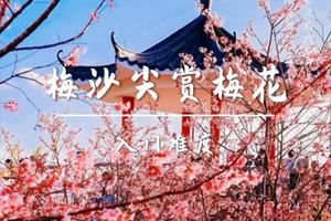  成团4.4周六，转发25元起买一送一不限名额 打卡深圳第三高峰，梅沙尖穿越三洲田赏樱花，大华兴寺四面佛