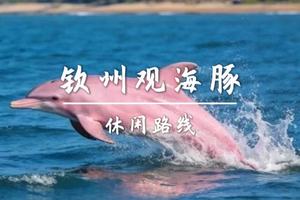 成团398起 最后3名【钦州寻海豚3天】4.4-4.6阳春春湾石林+龙宫、钦州观海豚 钦州老街 湛江火山岛-硇洲岛3日游