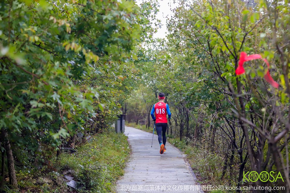 vbox9136_IMG_0161_091641