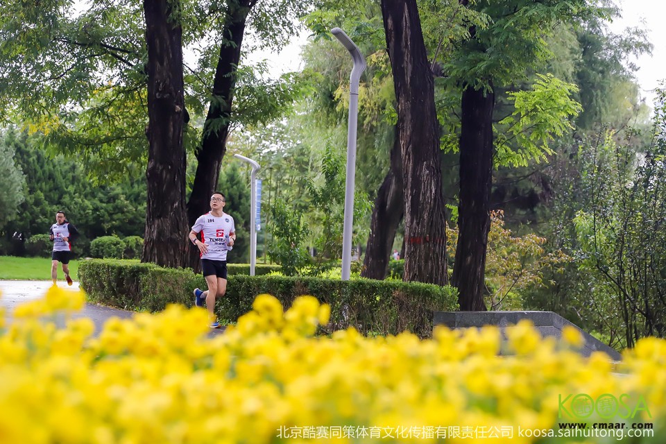 vbox9136_IMG_0364_151122