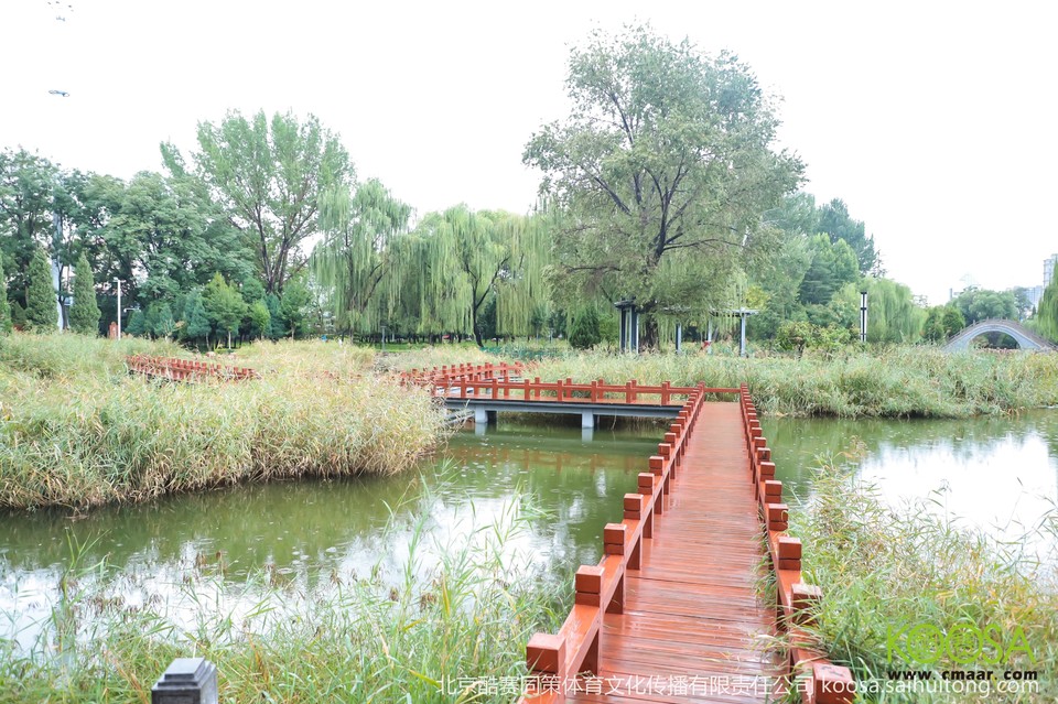 vbox11075_IMG_0878_145106