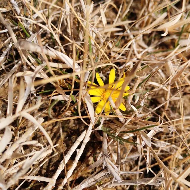 破浪迎晨曦，聚将战沙场：草根知本集团高管沙漠团建圆满收官