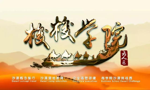 破浪迎晨曦，聚将战沙场：草根知本集团高管沙漠团建圆满收官