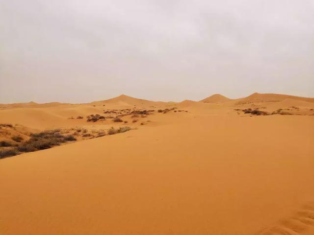 破浪迎晨曦，聚将战沙场：草根知本集团高管沙漠团建圆满收官