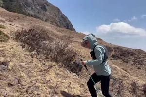 玉龙第一峰高山草甸