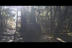 2021玉龙山径·玉龙雪山极限越野赛原始森林羊玉厂赛段