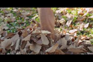 2021玉龙山径·玉龙雪山极限越野赛宣传片-片段