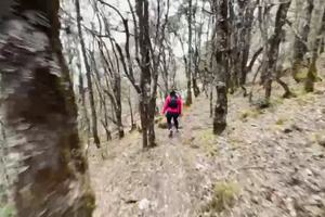 原始森林-候鸟湾