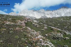 2024玉龙雪山极限越野赛