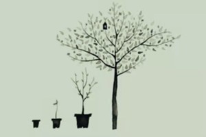 海德微 | 每周二 心理小组聚会（每周一期）