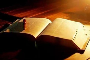 海德微 | 每周四 心理读书会（每两周一期）