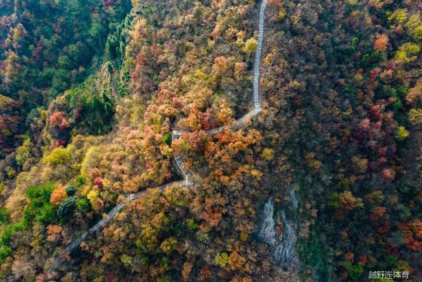 微信图片_20221216231428