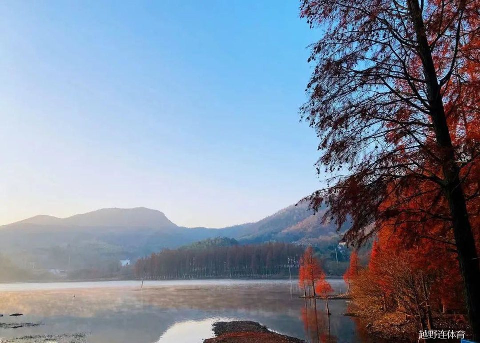 微信图片_20221216231433