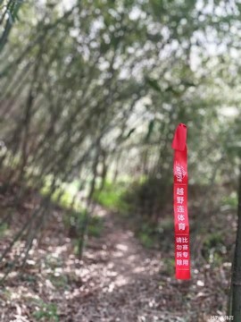 mmexport1616903865534