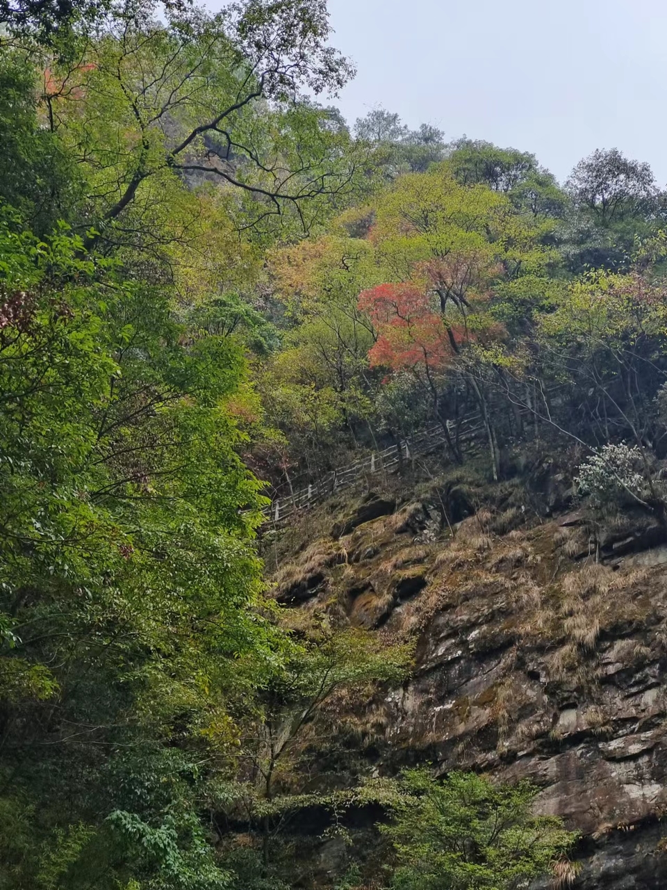 CZSMNiE-xpzCpdLxpP5zUPrzI-iJjJ0zLjEYLjQgs6hxdF3kcaPMsdc8mw6hKW8F