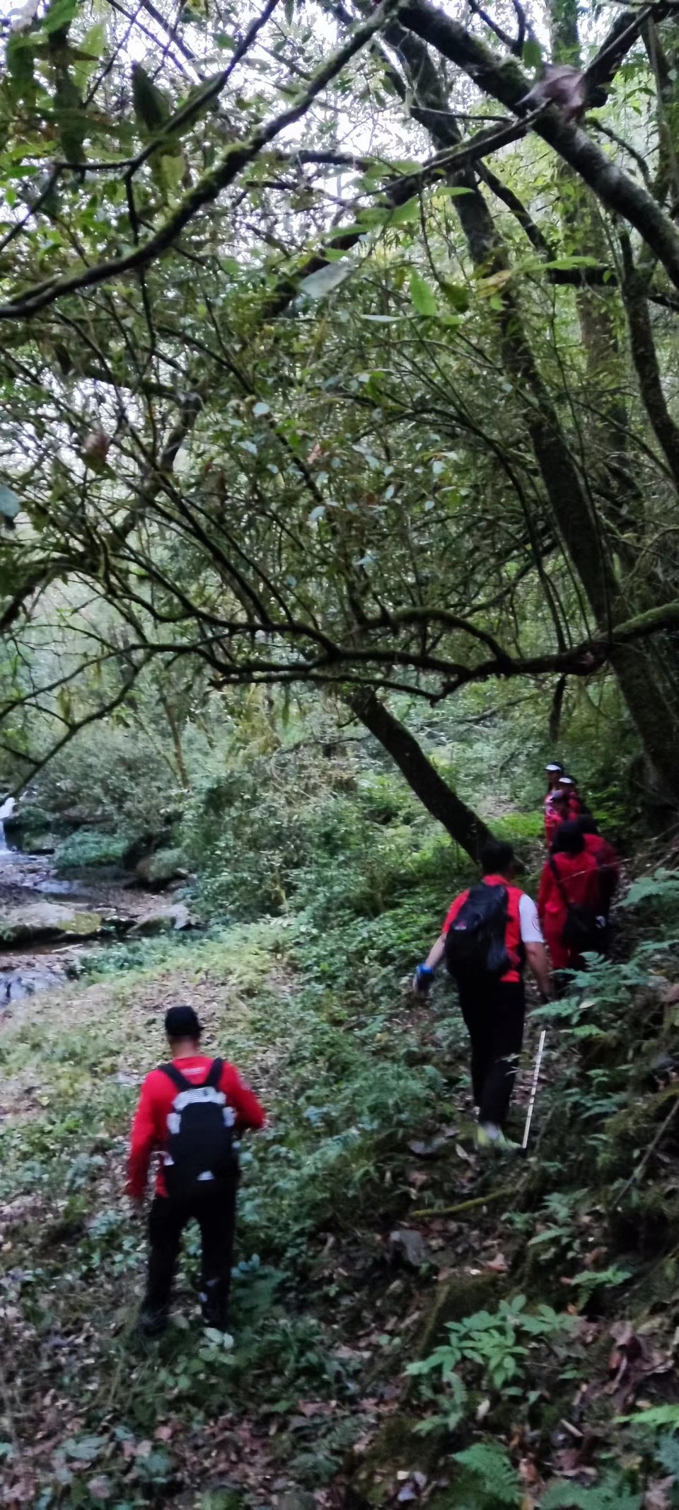 CZSMNiE-xpzCpdLxpP5zUGj28IR9vsK1o-AHwla0P9delcyFZJxlqd3VhnKP1FMg