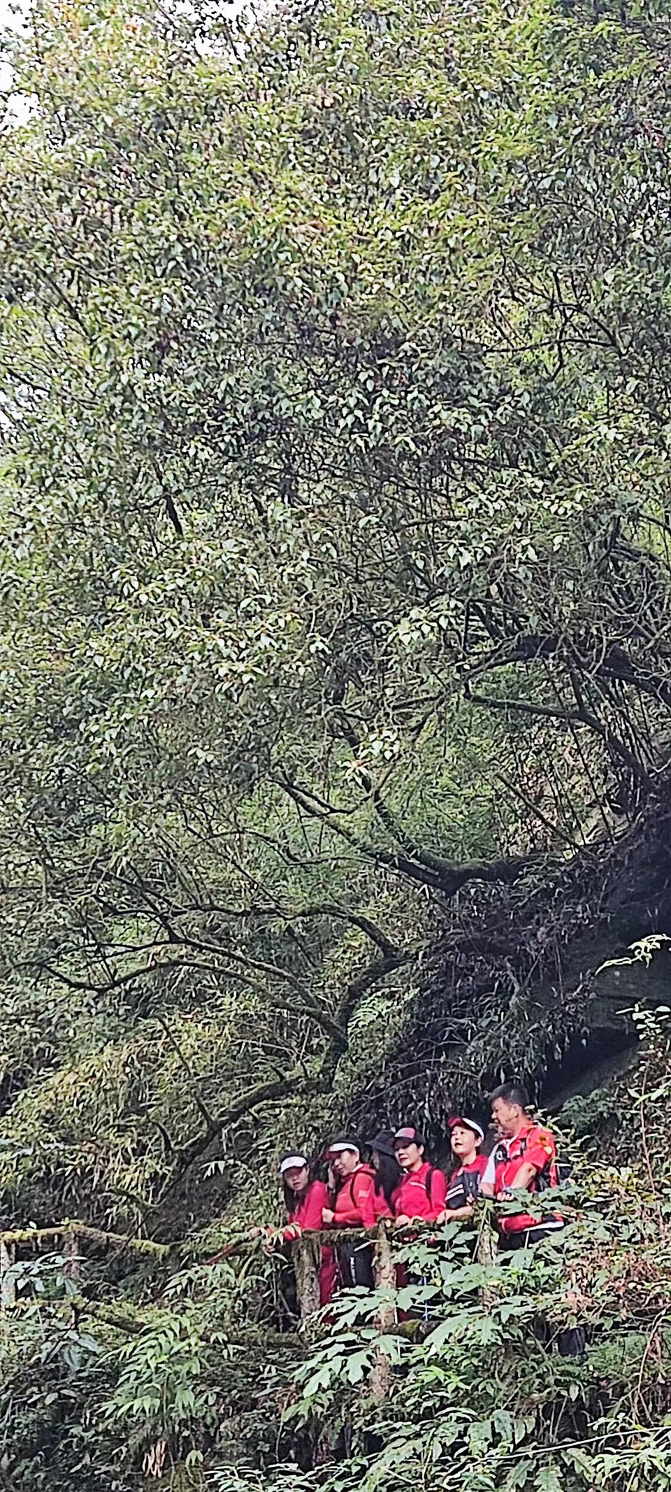 CZSMNiE-xpzCpdLxpP5zUMZ_wWo_oHb9C5icxHLZG16EjH0yvcQPsRGPe4UaknZM