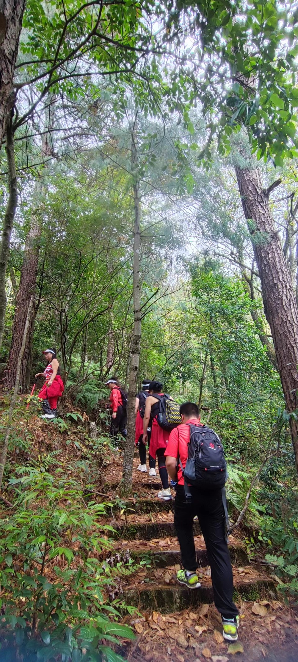 CZSMNiE-xpzCpdLxpP5zUNbunkGa6c_EC-WmXFTo3g2BoGD2NeS1k6Hb9QeJmGlR