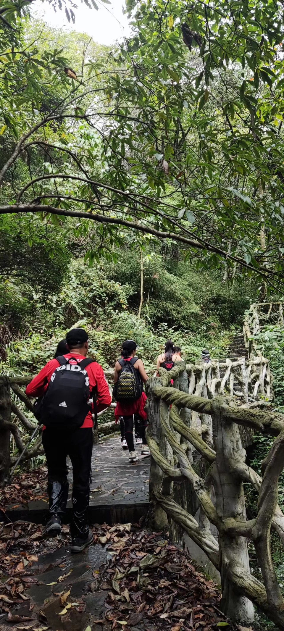 CZSMNiE-xpzCpdLxpP5zUD031yNqynYuph7JHTM-dwPBocbNpgsTtEbBVAbe6XY9