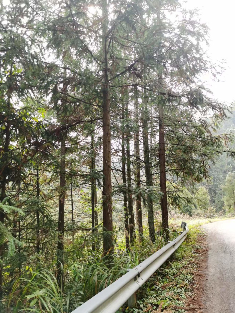 CZSMNiE-xpzCpdLxpP5zUOamlW9n7eEiEh7hY-DtQNiGr_645QN9Se4Xw796s311