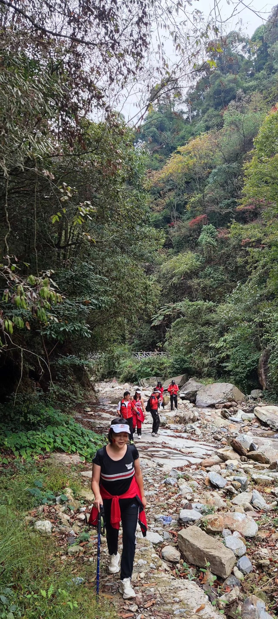 CZSMNiE-xpzCpdLxpP5zUKj5LqQFiHN1BdS-N2_yAfz3w9lfiQH4Lw20IUxna8tX