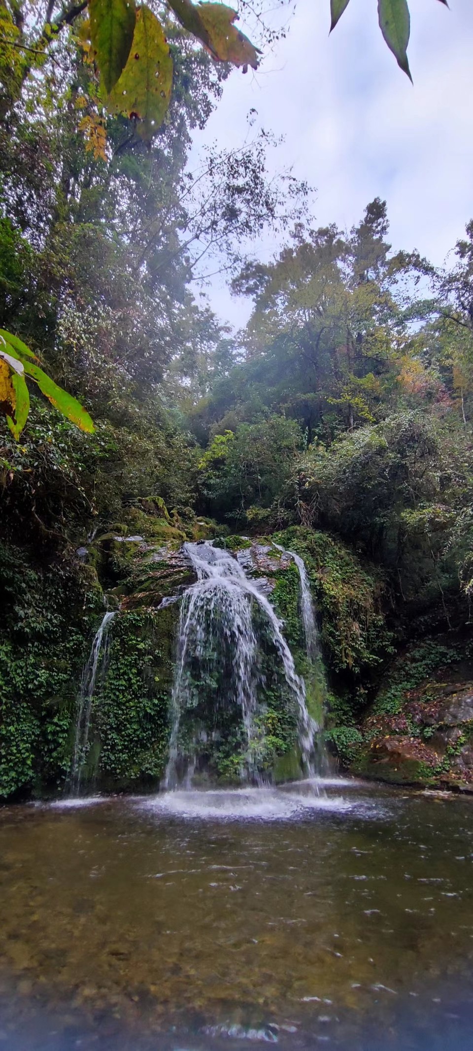 CZSMNiE-xpzCpdLxpP5zUKR4ta8D6kppIlg2Bj0VD4sN3JH2xxAIxYoIly2n6ol-