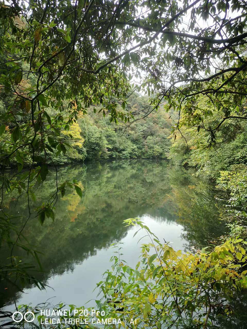 CZSMNiE-xpzCpdLxpP5zUIF6fajH7FTmqg9-2euG98IHfz3kmGstG8h2wDlKYG7Y