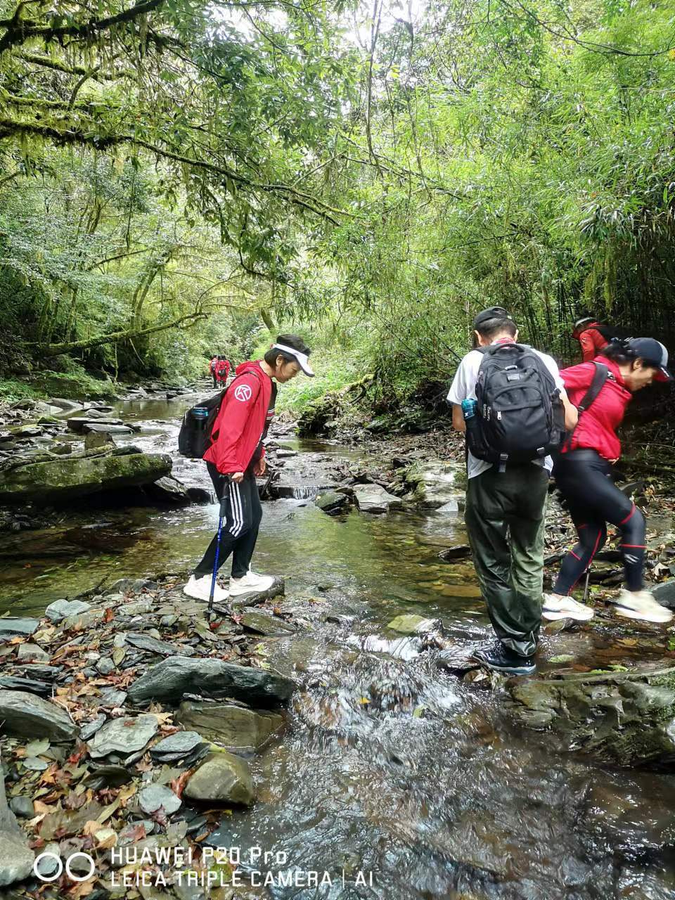 CZSMNiE-xpzCpdLxpP5zUIIa5uHHAlwY2lWmiCGUXfmYS886bxi1XSGiMZcy6fFv