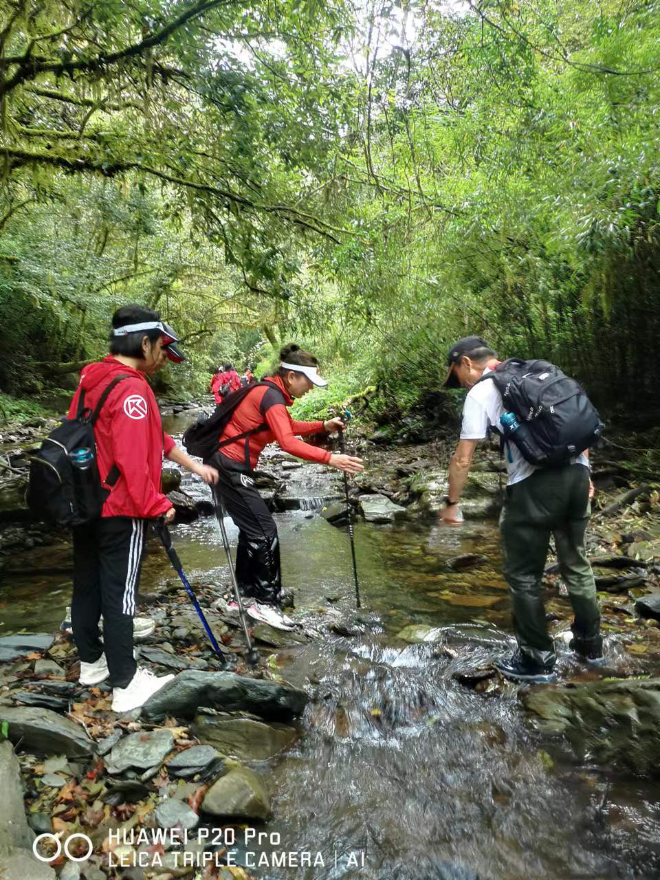 CZSMNiE-xpzCpdLxpP5zUO6J5bdzRlpcyDim1onCgaFpkYdjg24k_qaMWwJEj-xy