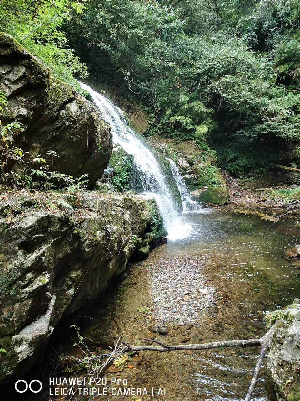 CZSMNiE-xpzCpdLxpP5zUGc1Yc290Nva0jI1Tf2klYet7oxRuwhwNzQJQ7kBotod