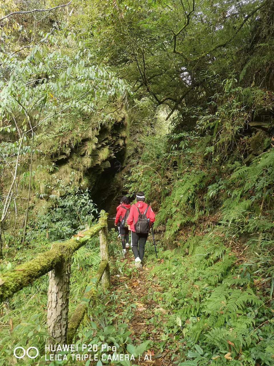 CZSMNiE-xpzCpdLxpP5zULKV08qzly8eroM9jj5vF4fcRLxSM-b6LVT4KbsOOmO0