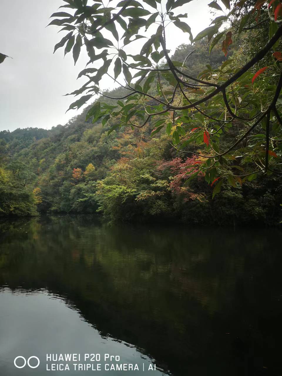 CZSMNiE-xpzCpdLxpP5zUJCFvMMlfKu2a3M48Q2TsaW7Cvne8fsgDwoWSuR8eeWK