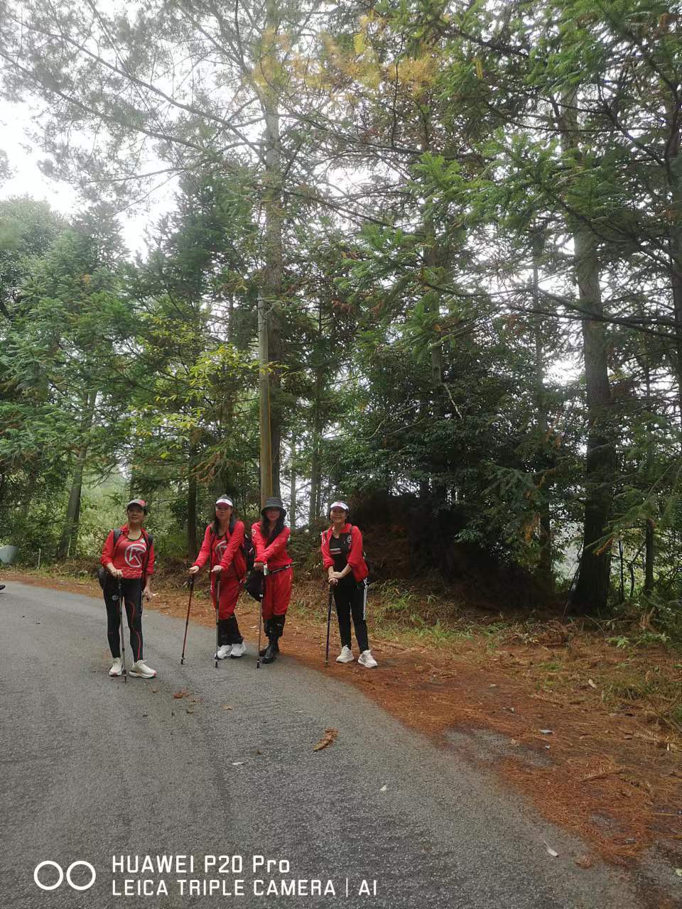 CZSMNiE-xpzCpdLxpP5zUE0ul2zBviAJYDwpUnD9UX4DI_rG_ab6bCBCcAYyz0C3