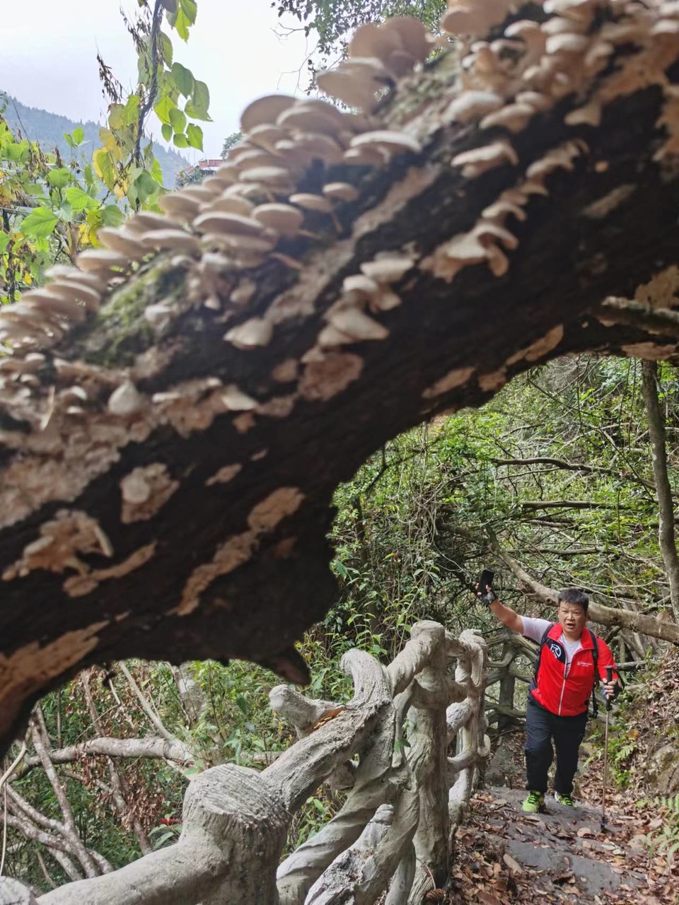 CZSMNiE-xpzCpdLxpP5zULg4H-nNE_3RVB-TftYkOzjtihxsfJbsH-8Df3QHrWrq