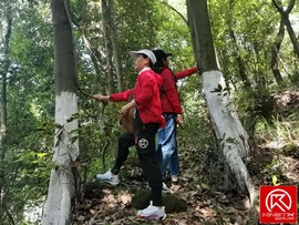 q1CxJY4Fem6pX2hhupuwuvBncl0SyGCxSGW4HOf60PjPjmHOvH5dm33Q40BaJUmI