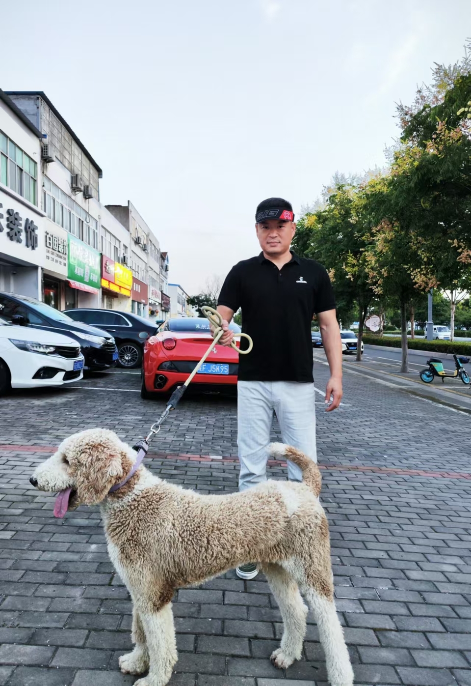 QEHx6rU4pN4TgFjTlmcWKxG_x2Pw6OXB_siQUs8oLR-Mlt1OtxlOJmC7vBBT73DG