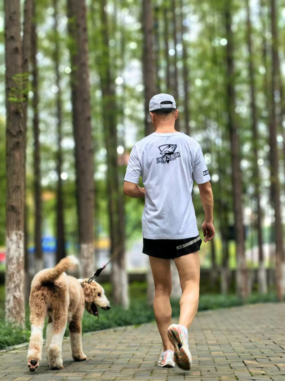 3RjhHnOEry3hECl1lbjLv2Tc8mQwbP2l1kbcE1nkoAmEZBb8pDoRSnwAMZn5hDMf