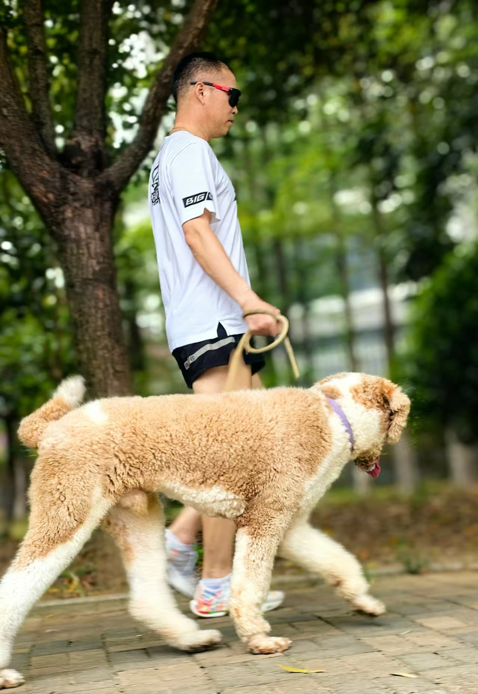 3RjhHnOEry3hECl1lbjLv4Y3NBpBJSVSEnBHS3goUDG6o1gD5wyrXLXI0nF98PJC