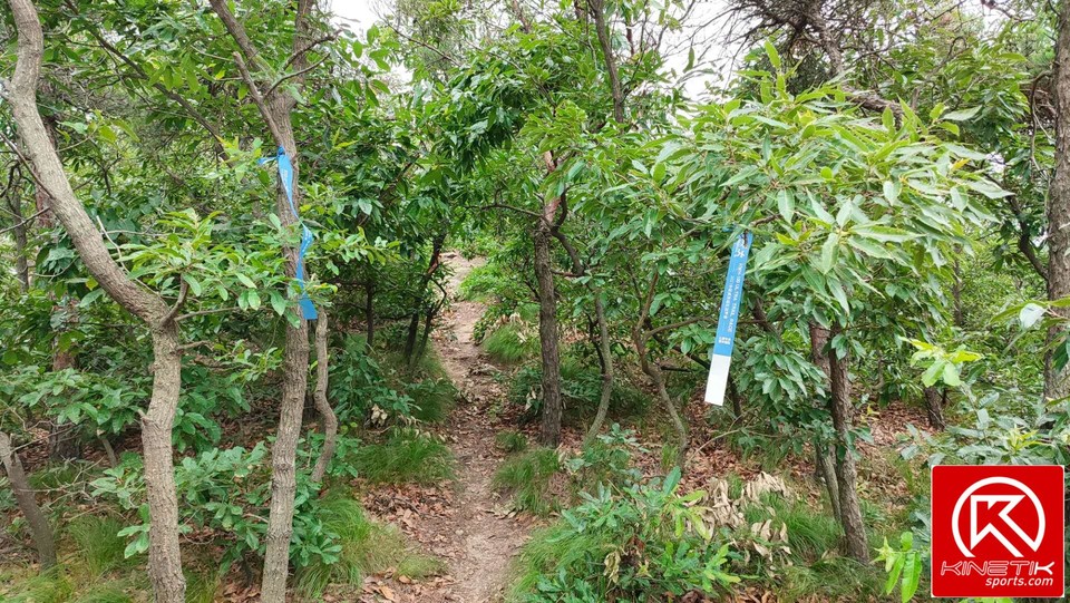 qKxbwWK3VHyeSEjcBlpW3Ft0NPzJpxUZPsXQBeX9ILZl3USv8-DVp73-3gxnLpOY