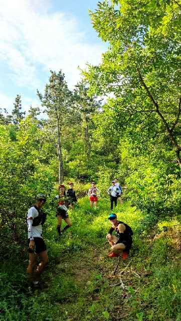 WUkIUoQCDMt9eFRzlXk7Tw84hN6rKFSOepWnyjrizyxBrWLohZjxX3rK2fQNdm5x