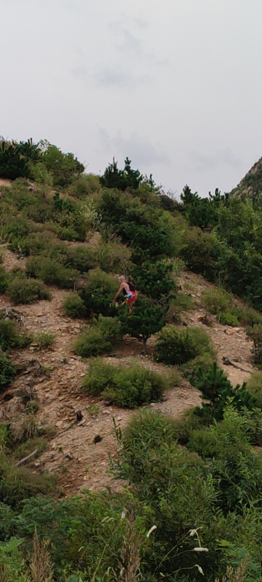 6Za01m3_rBFOrAkZ03BSoSlf7fcLQEdMmx1bwKCaze6btLs-RaavYYNZ8hgfjlnp