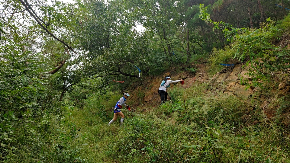 bHiiARC7Is2nR-sQvHoSUEcWQs_hl_OhApQ89jpadkb11e-lT8hwyqccKeF7JSBU