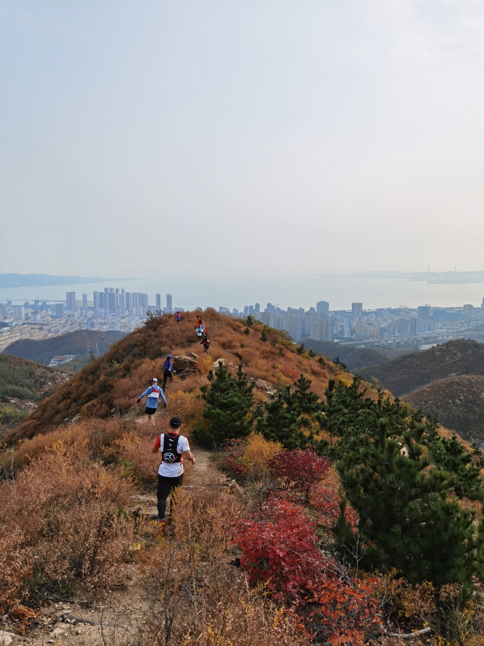 6So-FeRQUEV3c5-NTJNFfc3KeBsEajJFDR1x8hY4sWsHVifqHgoVYsgJNhCnEKU5